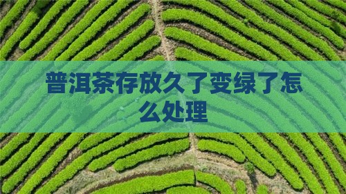 普洱茶存放久了变绿了怎么办