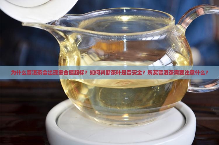 普洱茶重金属超标