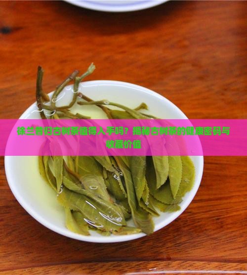 徐兰昔归古树茶