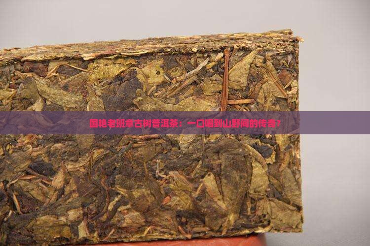国艳老班章古树普洱茶