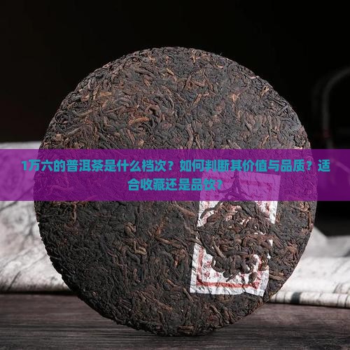 1万六的普洱茶什么档次