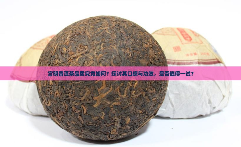 宫明普洱茶好不好