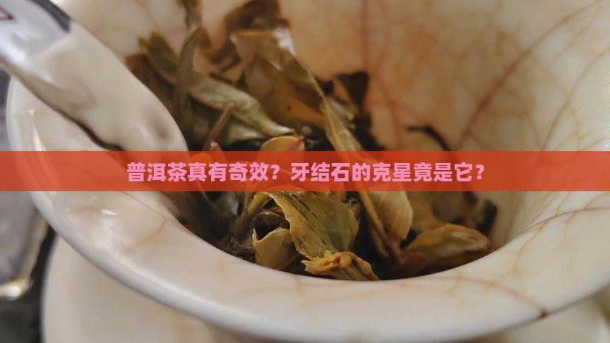 普洱茶能去除牙结石吗