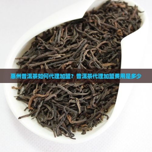 惠州普洱茶如何代理加盟
