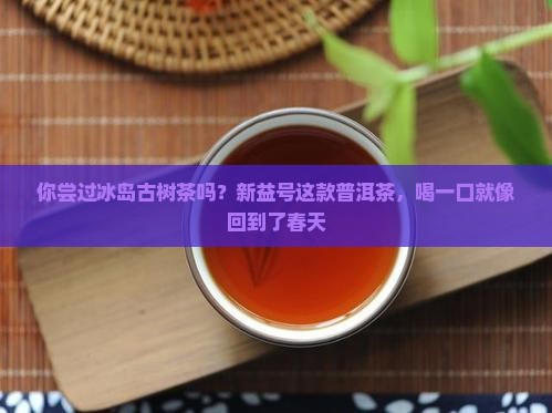 新益号冰岛古树普洱茶