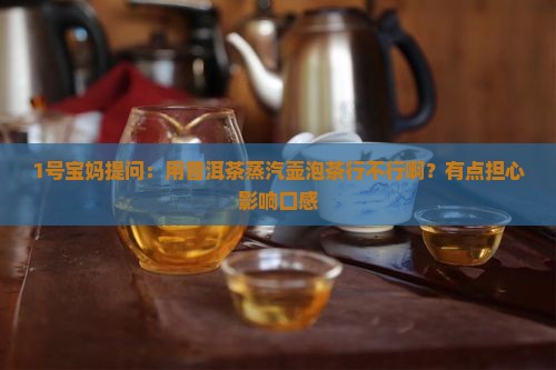 普洱茶蒸汽壶可以吗