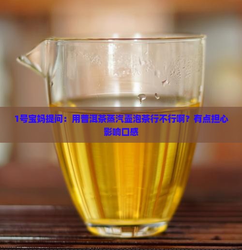 普洱茶蒸汽壶可以吗