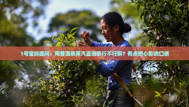 普洱茶蒸汽壶可以吗