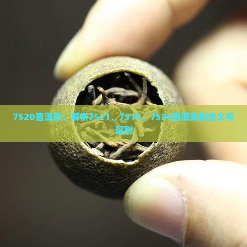 7520普洱茶