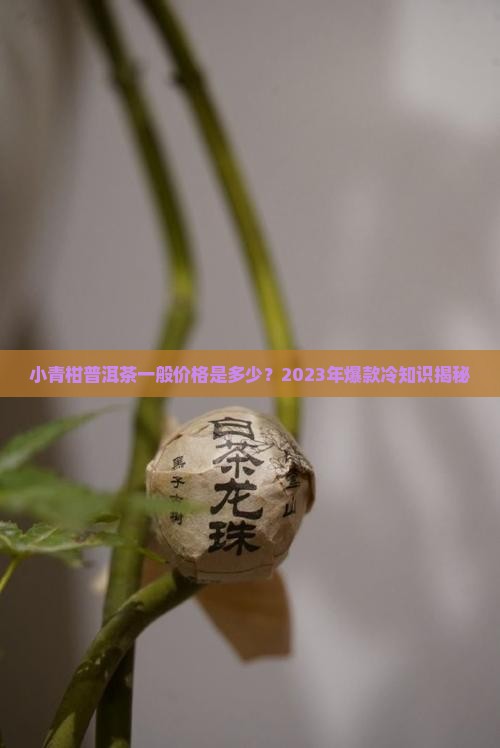 小青柑普洱茶的一般价格