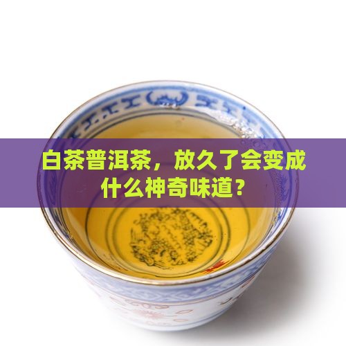白茶普洱茶存放