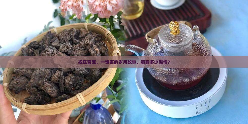 戎氏普洱茶流年