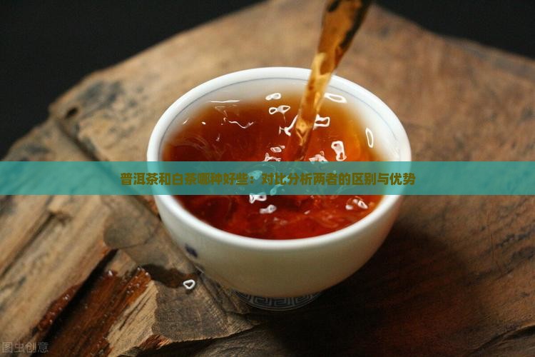 普洱茶和白茶哪种好些