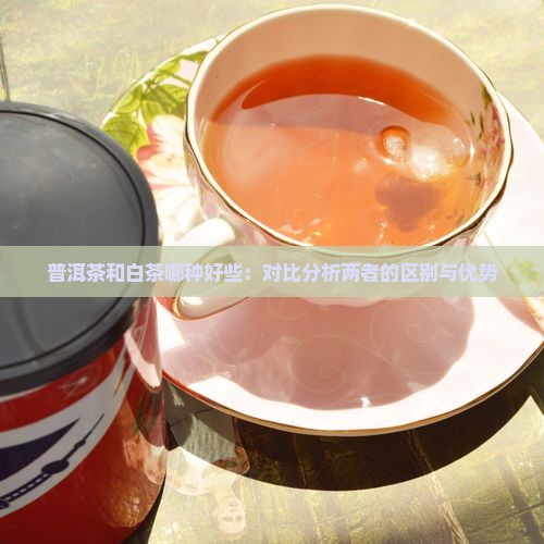 普洱茶和白茶哪种好些