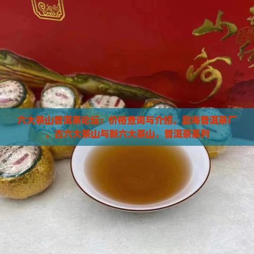 六大茶山普洱茶论坛