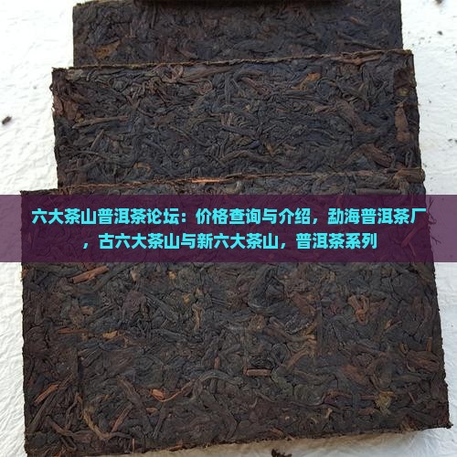 六大茶山普洱茶论坛