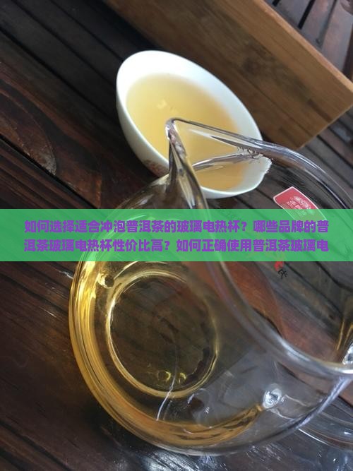 普洱茶玻璃电热杯