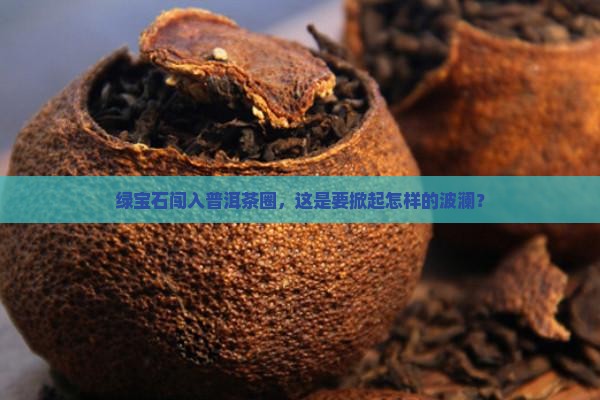 绿宝石搅动普洱茶圈