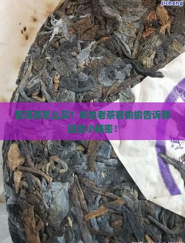 普洱茶在当地如何买好的