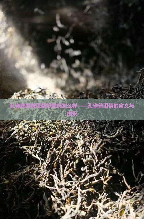 孔雀牌的普洱茶好喝吗怎么样