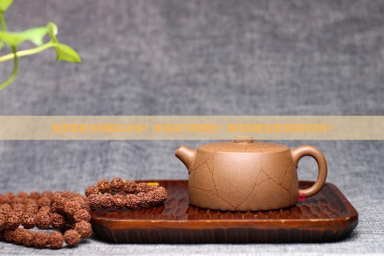 生普洱茶不容易冲泡吗好吗