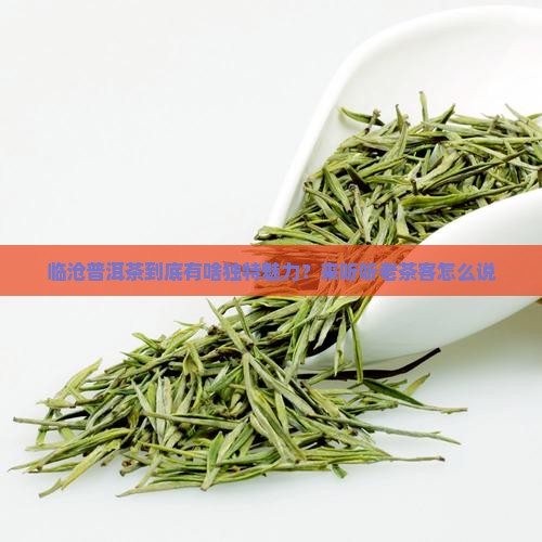 临沧普洱茶特点介绍一下