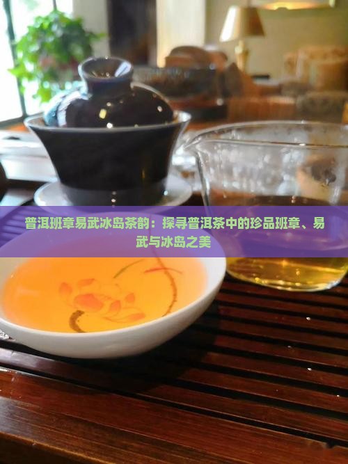 班章冰岛易武勐海