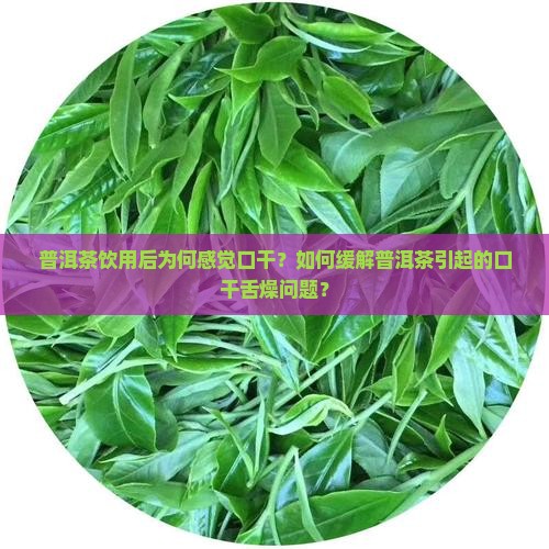 为何喝普洱茶感觉口干