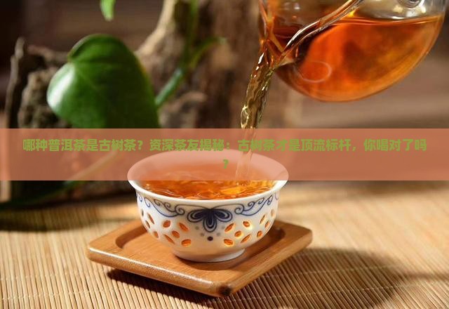 哪种普洱茶是古树茶