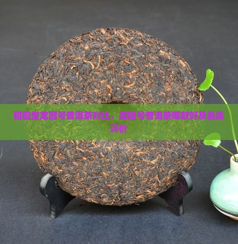 和圆堂龙圆号普洱茶