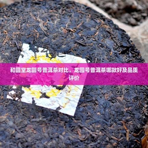 和圆堂龙圆号普洱茶