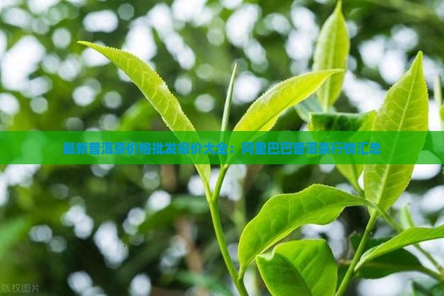 正规普洱茶多少钱