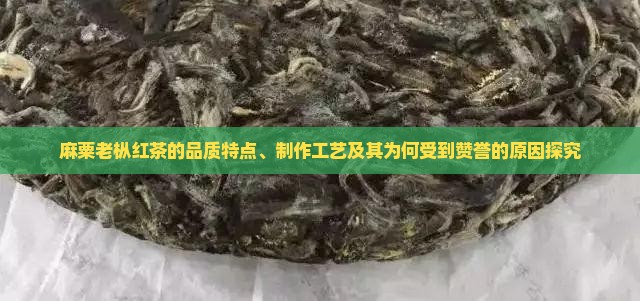 麻粟老枞红茶的赞美