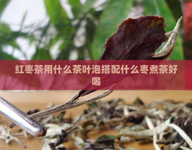红枣茶用什么茶叶泡