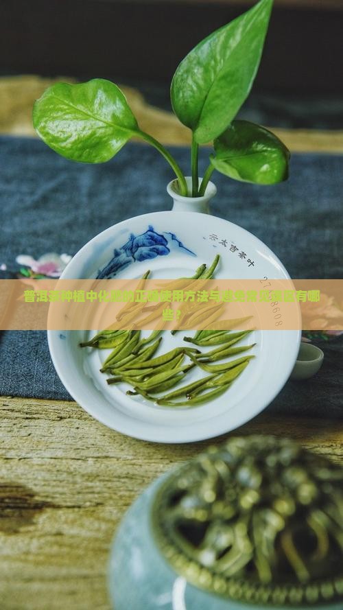 普洱茶化肥怎么用