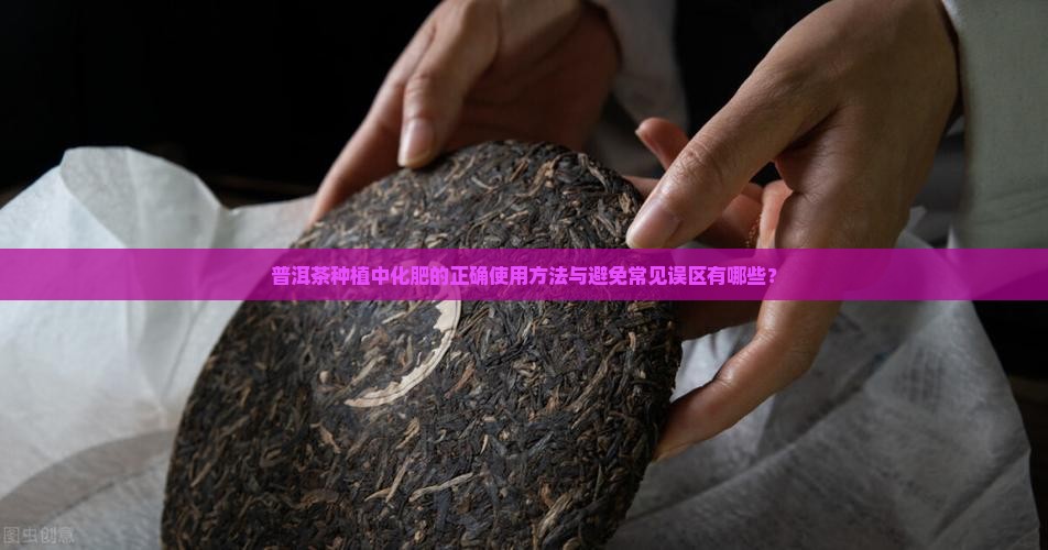 普洱茶化肥怎么用