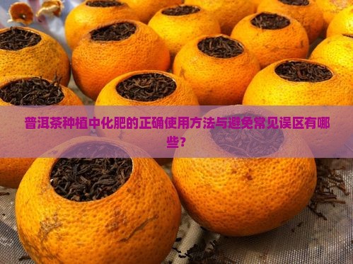 普洱茶化肥怎么用