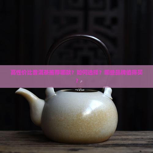高性价比普洱茶推荐哪款