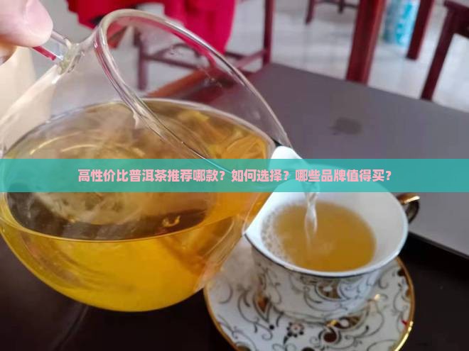 高性价比普洱茶推荐哪款