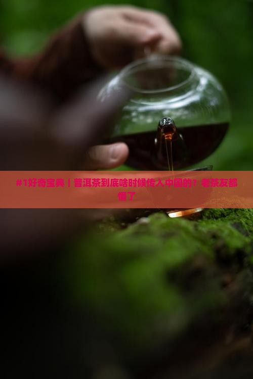 普洱茶是啥时候传入中国的