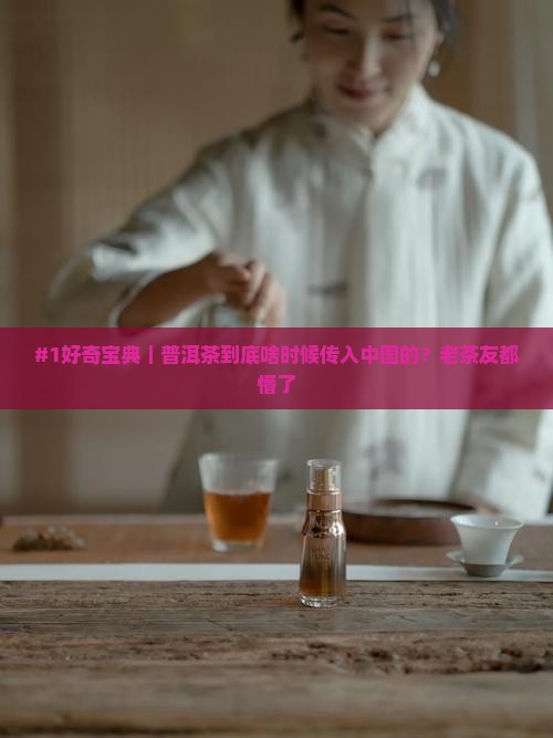 普洱茶是啥时候传入中国的