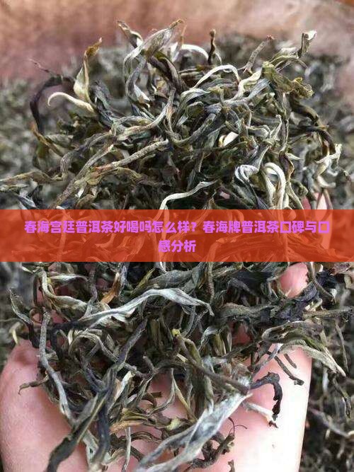 春海宫廷普洱茶好喝吗怎么样