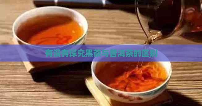 有没有黑茶普洱茶
