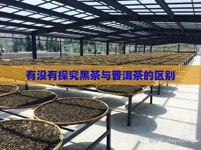 有没有黑茶普洱茶