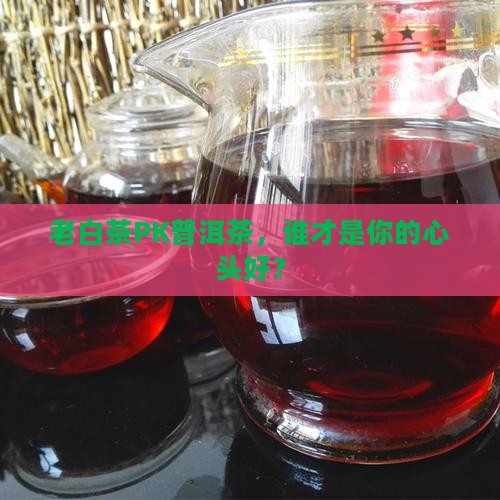 老白茶与普洱茶哪个好