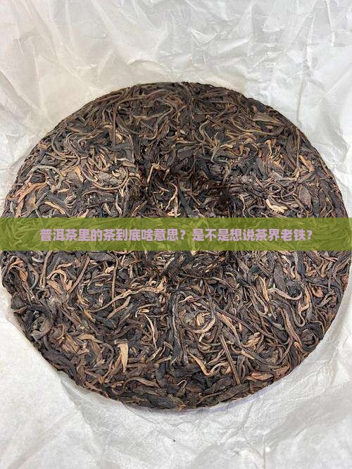 普洱茶中茶是什么意思