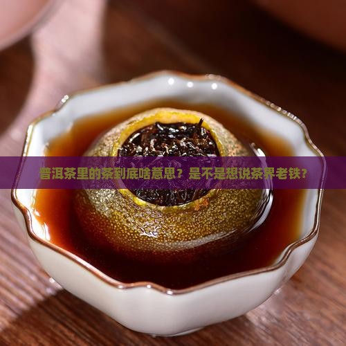 普洱茶中茶是什么意思