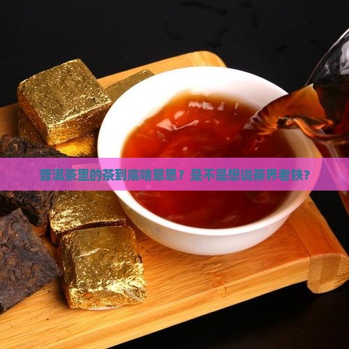 普洱茶中茶是什么意思