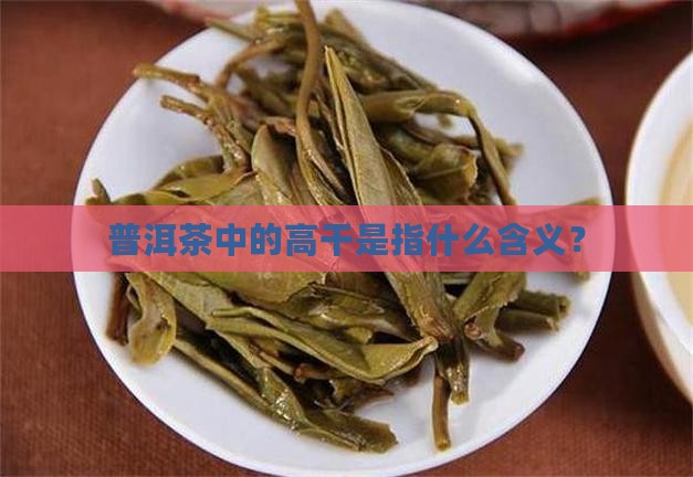 普洱茶中的高干是什么意思