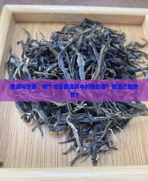 熟普和普洱茶哪个好